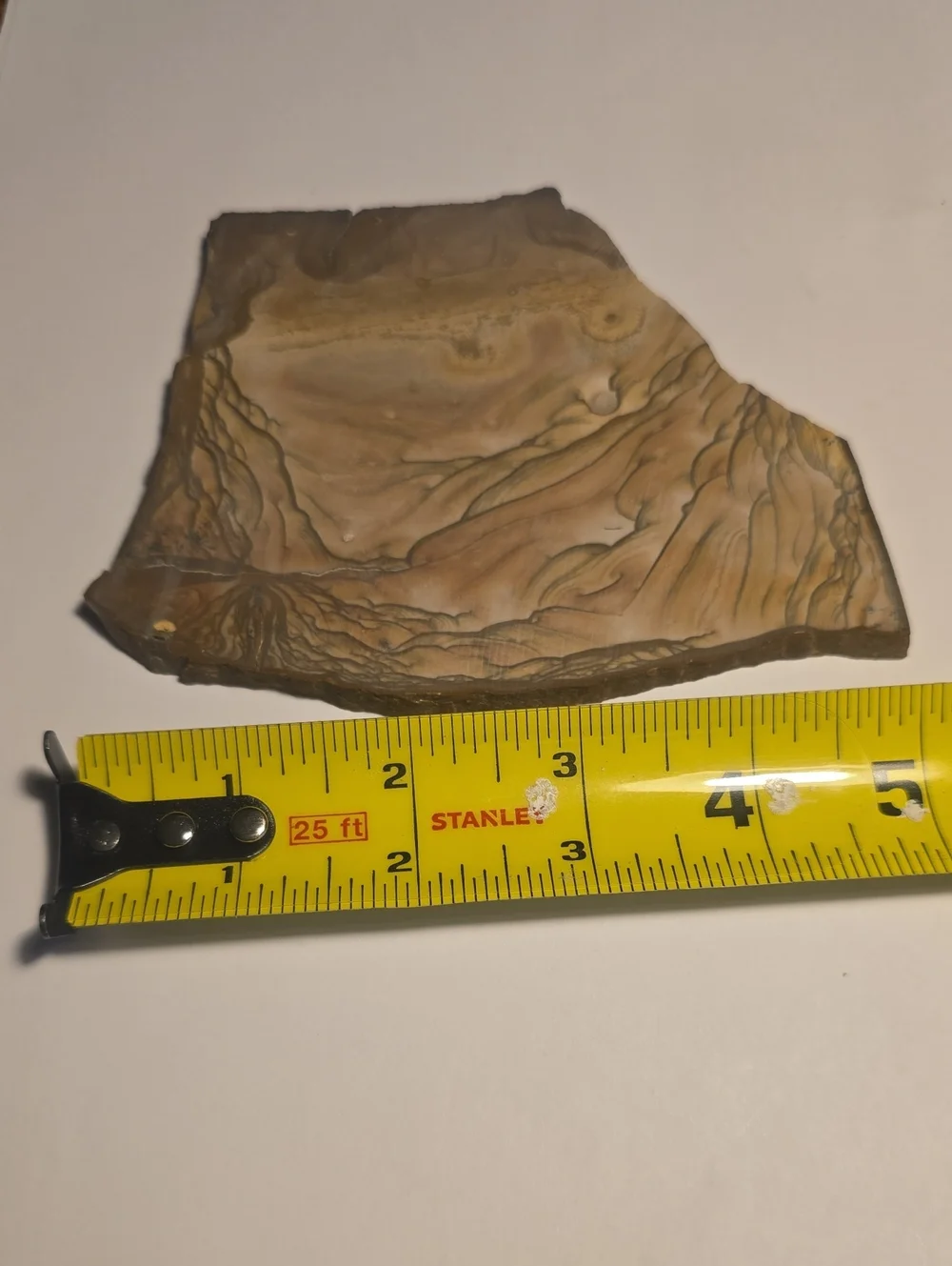 Old Stock Biggs Oregon Picture jasper Slab 147.49g